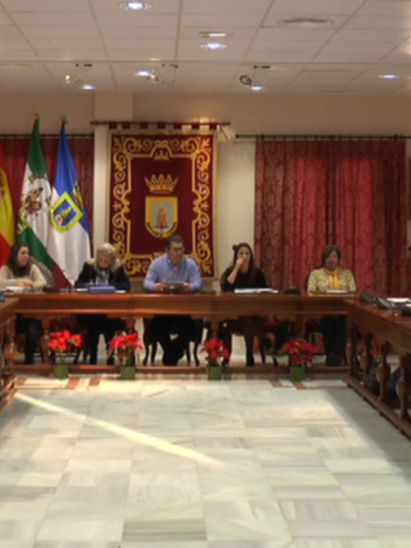 El Pleno aprueba la rectificación parcial del libro de inventario municipal para incluir actuaciones en el estadio Gutiérrez Amérigo