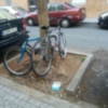 Bicicletas y arboles