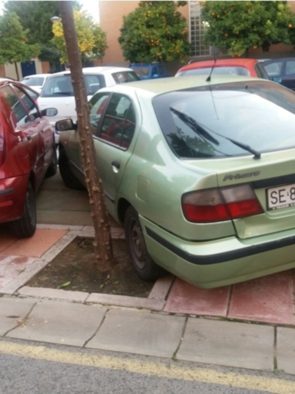 Vista trasera de un coche verde aparcado en una calle con árboles y otros coches al fondo.