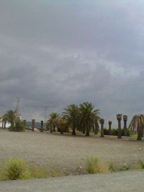 Vista de un parque con palmeras y una estructura arquitectónica en el fondo bajo un cielo nublado.