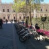 La  seguridad y vigilancia de los parques públicos de Sevilla