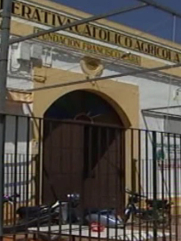 La Bodega Cooperativa Católico Agrícola realizará mañana una jornada técnica sobre control de enfermedades de la viña