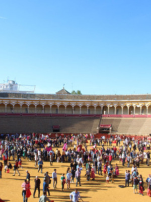 Cerca de 3000 personas llenan el ruedo de la Maestranza