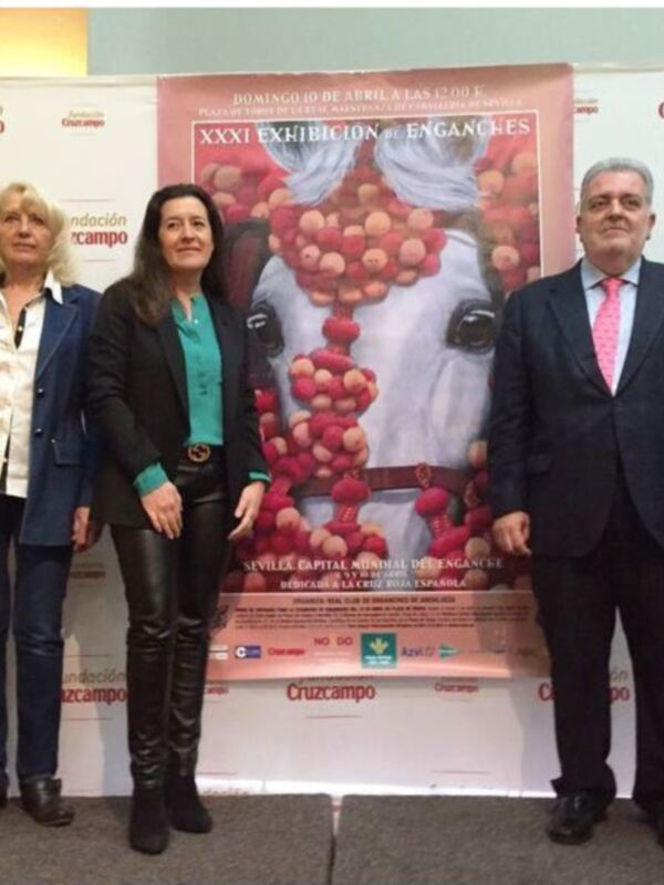 Más de 70  coches de caballos participarán en la  XXXI Exhibición de Enganches, dedicada a la  Cruz Roja