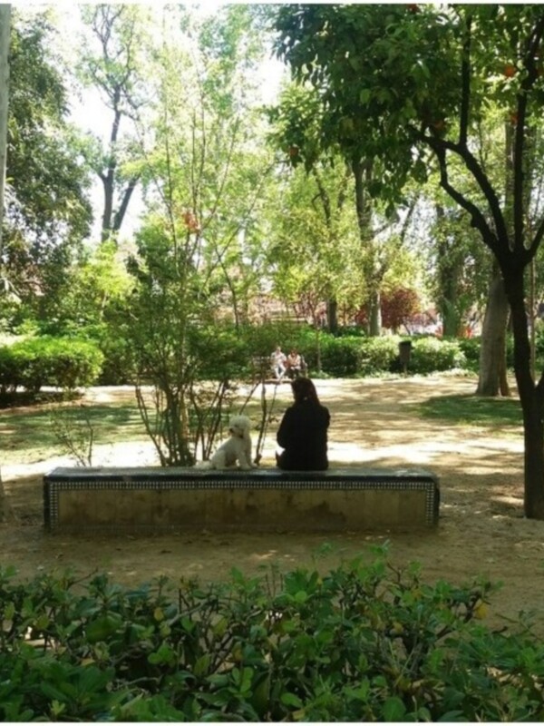 Las zonas verdes urbanas un factor de calidad ambiental