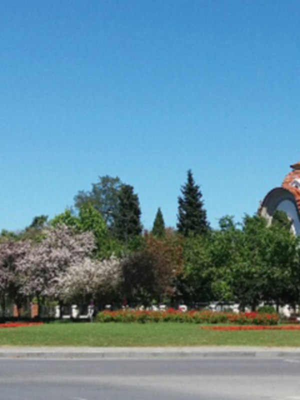Vista panorámica de un parque con edificios históricos y árboles en flor, bajo un cielo azul claro.