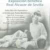 "ERASE UNA VEZ..." exposición colectiva y benéfica  que se inaugura el viernes 13 en el Alcázar