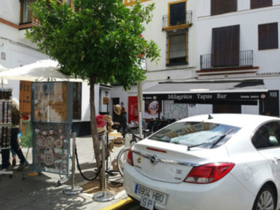 Arboles en peligro
