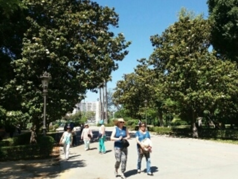 Gente caminando en un parque soleado con árboles verdes y luz del sol brillante.