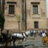 Coches de caballos en Sevilla