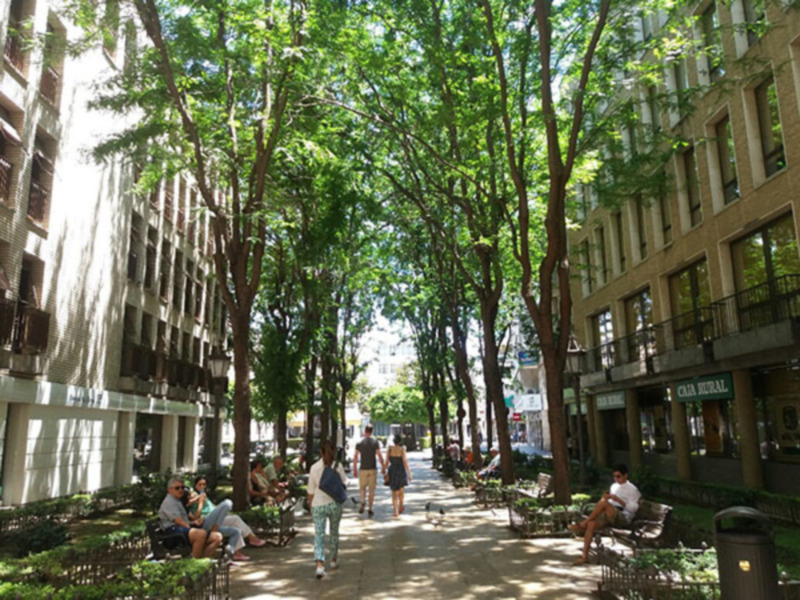 Una calle con sombra y bancos