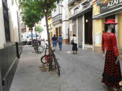 El arbolado urbano objeto de maltrato