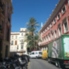 Las palmeras en la ciudad