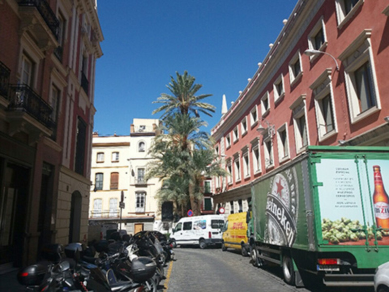 Paisaje urbano con edificios de colores, un árbol de palma y vehículos estacionados en una calle.