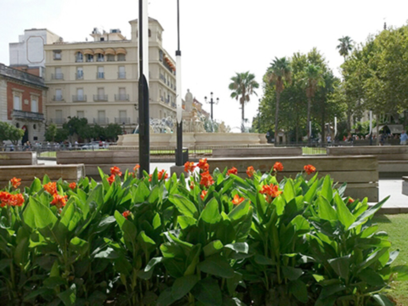 Floreros con flores rojas en un parque con edificios históricos y palmeras al fondo.