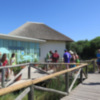 "El Camaleón" registra 6900 visitas en los meses de julio y agosto