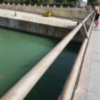 Salto al agua desde el puente
