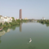 Surf de remo en el Guadalquivir