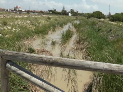 La Junta deniega a Chipiona la ayuda por las inundaciones de mayo al no existir reclamaciones particulares de agricultores