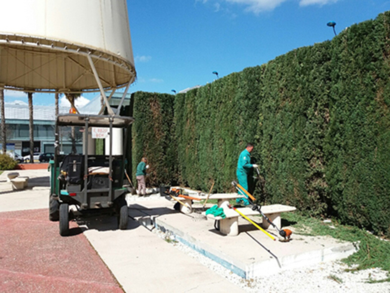 Trabajadores en uniforme verde realizando mantenimiento en un parque público, con un vehículo de trabajo y herramientas de jardinería en el frente.