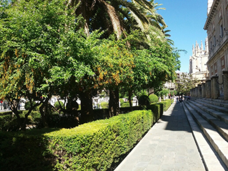 Paseo arbolado junto a un edificio histórico bajo un cielo azul claro.