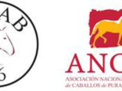 Agenda SICAB Jueves 16 de Noviembre