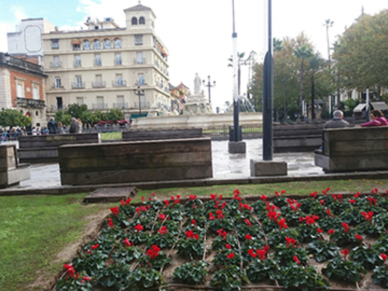 Plaza con fuente y flores rojas, edificios históricos al fondo, ambiente urbano y tranquilo.