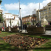 La lluvia y el viento provoca daños en parques y jardines