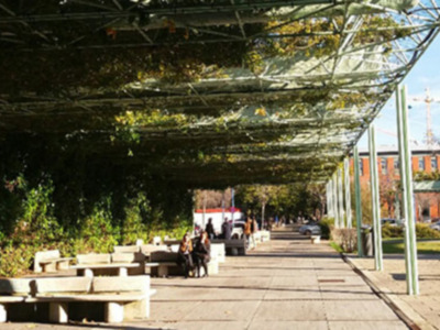 Llega la Primavera Biológica a Sevilla