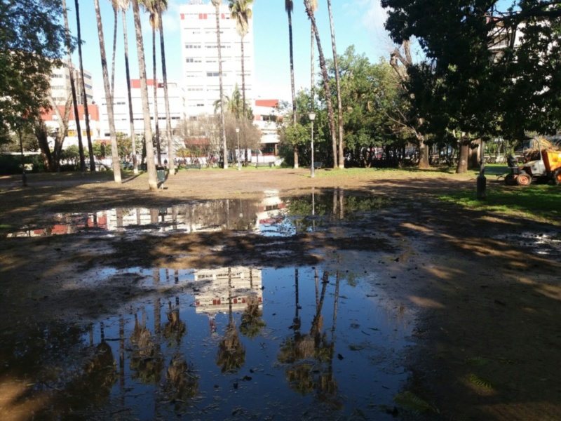 Embalsamiento de agua en el Parque de Los Príncipes.