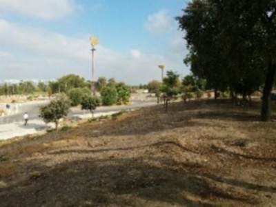 Sevilla y su muro verde de defensa