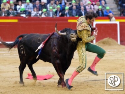 Juan José Padilla recibe dos cornadas, pronóstico grave