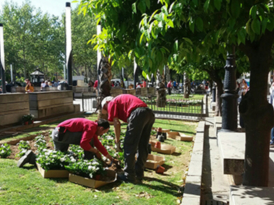 La ciudad a punto para vivir intensamente la Semana Santa