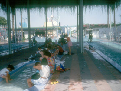 El Pleno del Ayuntamiento de Sevilla, reunido este viernes en sesión ordinaria ha aprobado la "batería" de medidas propuestas para combatir el calor
