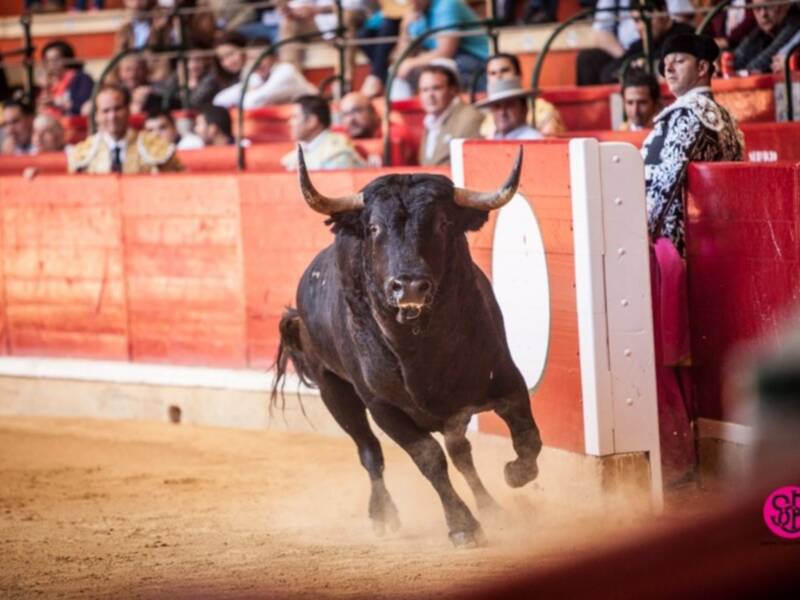 Desierto el "toro más bravo" y vuelta al ruedo para Román