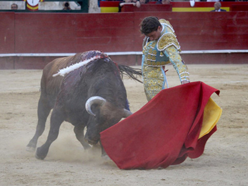 Alfonso Cadaval deja buena impresión en su debut en Valencia