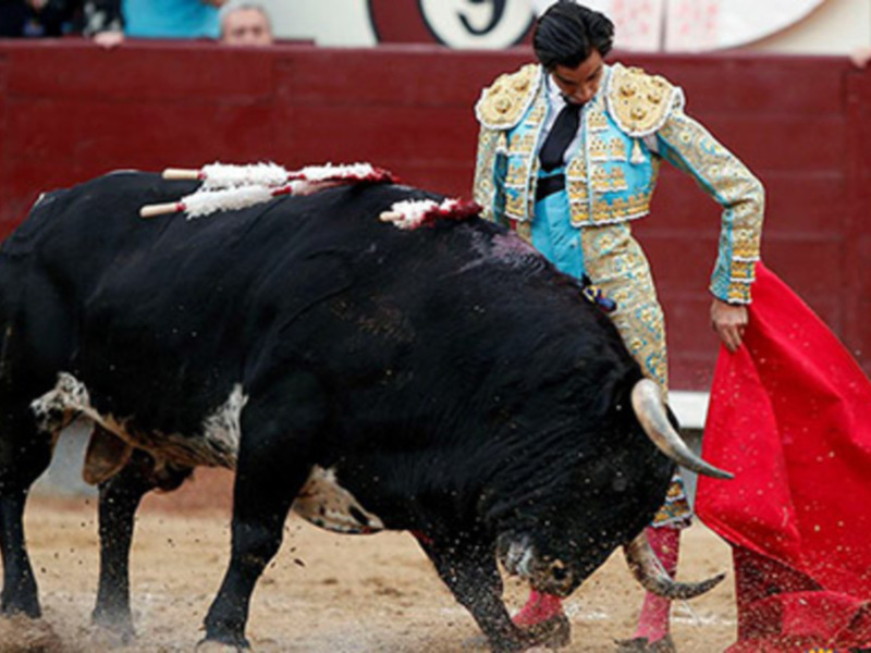 Tarde sin espadas en el día de San Isidro; herido el banderillero Manuel Muñoz