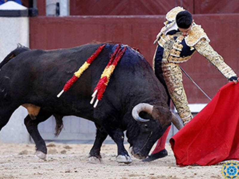 Feria de San Isidro Madrid, 19 de mayo de 2017.