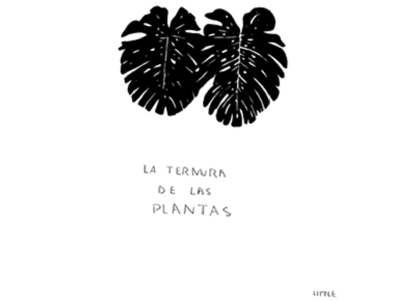 Bier Kraft, el Bar- Tienda de cervezas artesanas de Sevilla estrena la exposición de Pablo  Little: “Mira como vuelo”