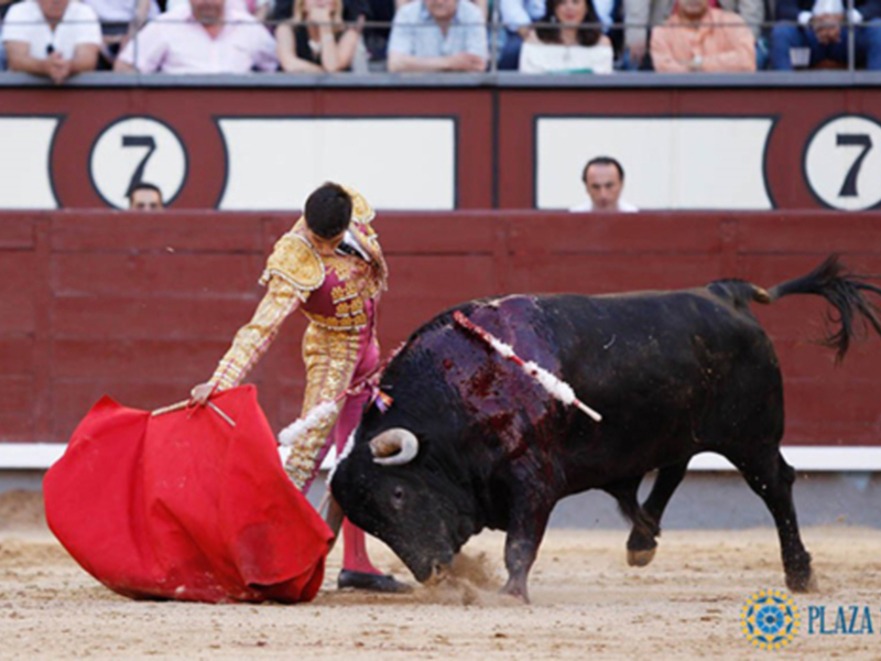 José Carlos Venegas, cogido en el sexto de Cuadri