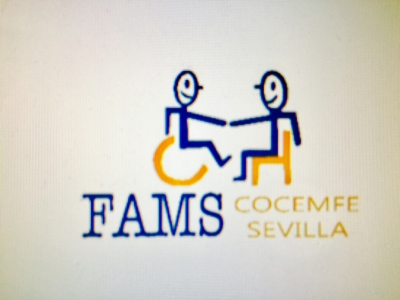 Mesas sobre la accesibilidad en los espacios públicos urbanos organizadas por FAMS-COCEMFE