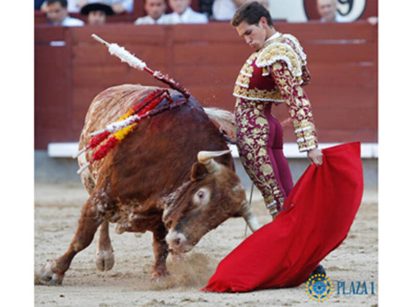 Ginés Marín da una vuelta al ruedo en la I Corrida de la Cultura que contó con la presencia del Ministro de Cultura