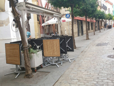 Agresiones al arbolado en la vía pública