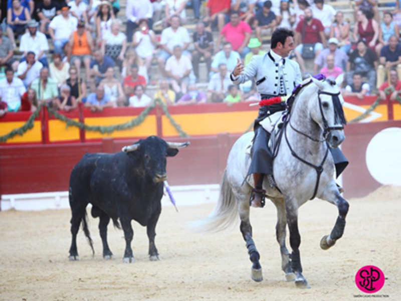 Oreja por coleta a los tres rejoneadores alicantinos que cierran la Feria de Hogueras