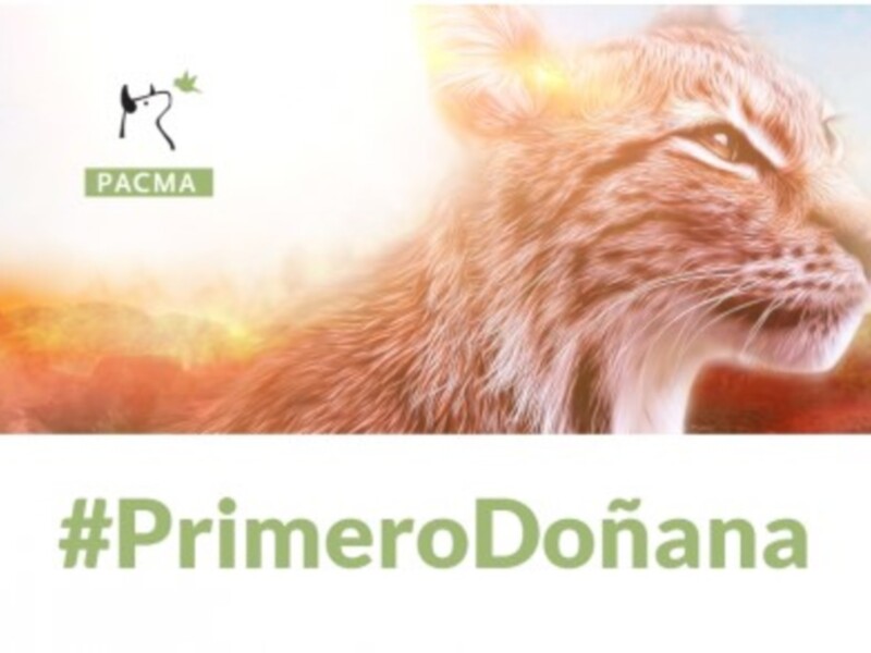 Todos con Doñana