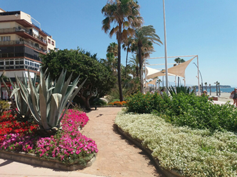 Estepona será sede del 45ª Congreso Nacional de Parques y Jardines Públicos en 2018