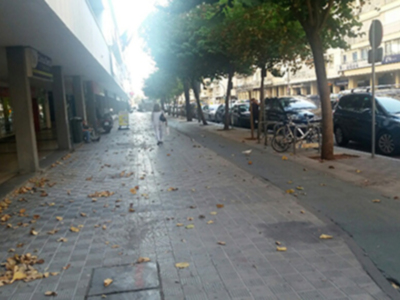 El exceso de calor provoca la caída de la hoja de algunos especies arbóreas