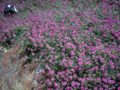 Imágenes inéditas de Expo92