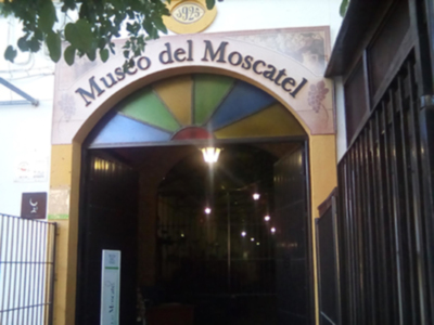 Chipiona entre sus playas saludables, viveros de la flor cortada o Carnaval, también es especial por la uva Moscatel