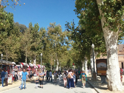 Cómo mejorar la seguridad en los parques y jardines públicos.